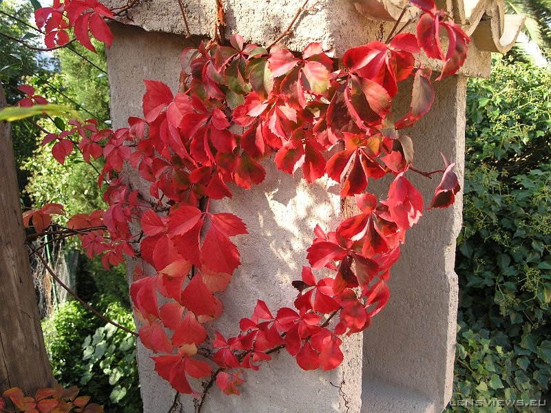 2006_11_19 11_32_04 OLYMPUS DIGITAL CAMERA         